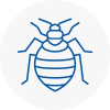 Bed Bug Extermination In Farnworth