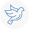 Bird Prevention Farnworth