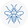 Farnworth Hornet Nest Removals