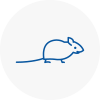 Mice Exterminators In Farnworth