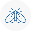 Moth Control Specialists In Farnworth