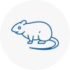 Rat Control Farnworth