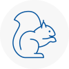 Farnworth Rodent Removals