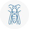 Farnworth Wasp Nest Removal
